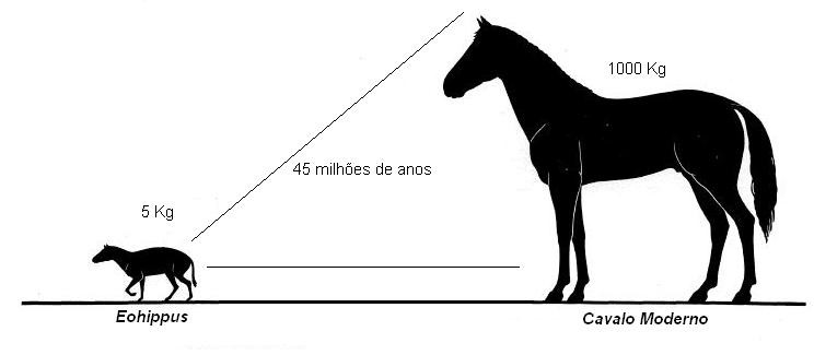 O cavalo e a humanidade: Como os equinos ajudaram na construção da história