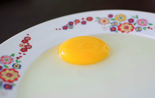ovos no prato