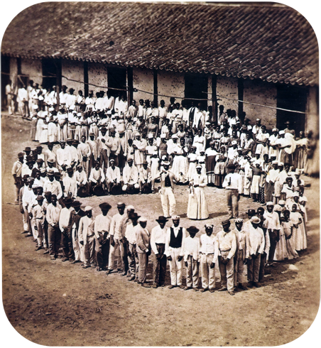 Massa Escrava - Brasil Império - Minas Gerais