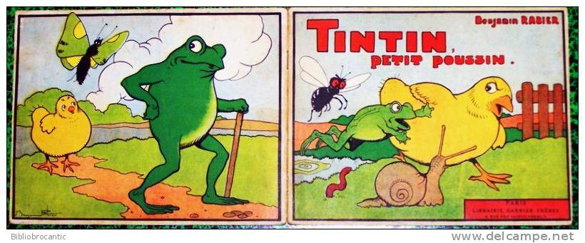 Tintin, petit poussin