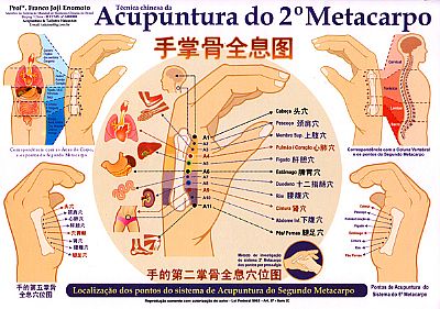 acupuntura do 2º Metacarpo Jóji Enomóto