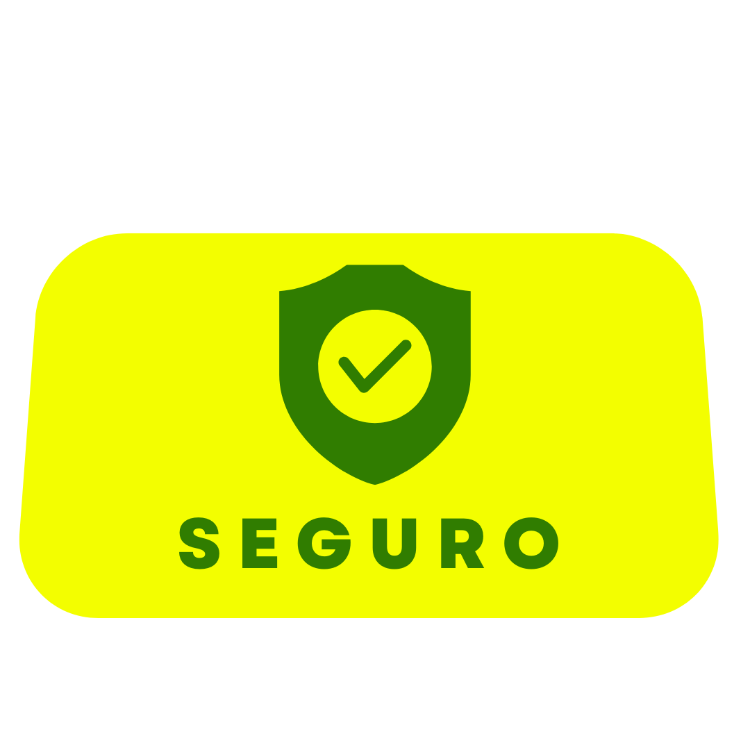 Seguro