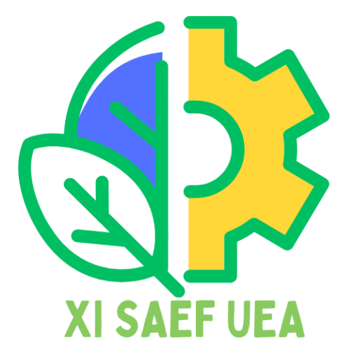 XI CAEF