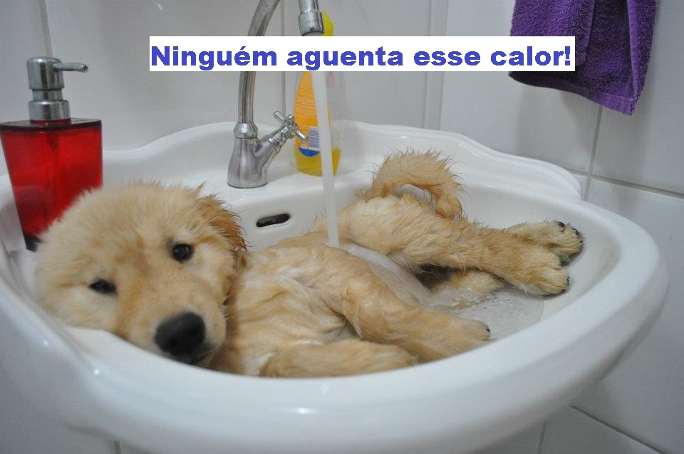 <img src="https://img.comunidades.net/ani/animadoa/ninguem_aguenta_esse_calor_1.jpg" border="0">