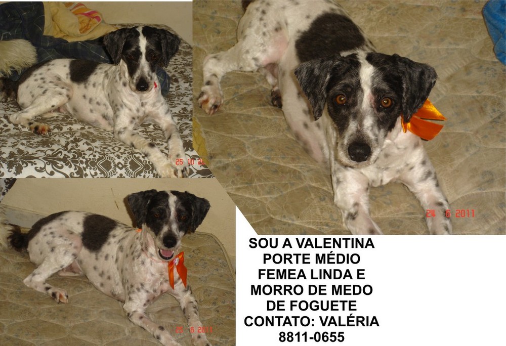 <img src="https://img.comunidades.net/ani/animadoa/valentina_copiar.jpg" border="0">