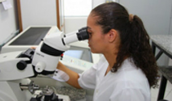 Descobertas a Nível Molecular