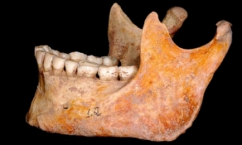 Mandibula mais antiga ja registrada