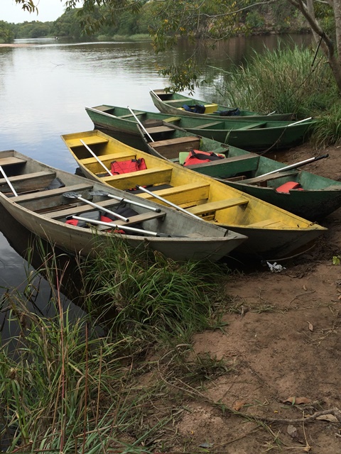 Mini Pantanal