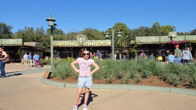 Animal Kingdom