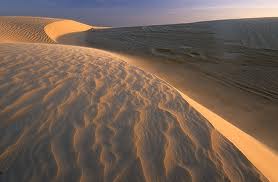 Dunas