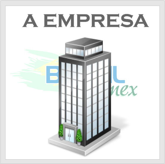 A Empresa