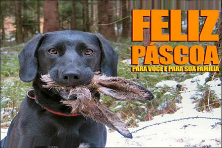 felis pascoa