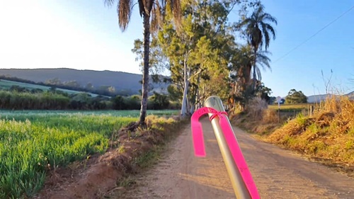 Cajado a companhia por alguns dias no Caminho da Fé