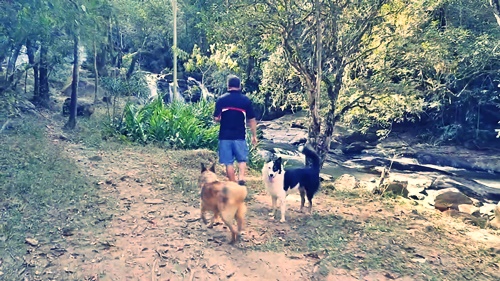 Os cachorros levam até a cachoeira de Barra, Ouro Fino MG, Caminho da Fé