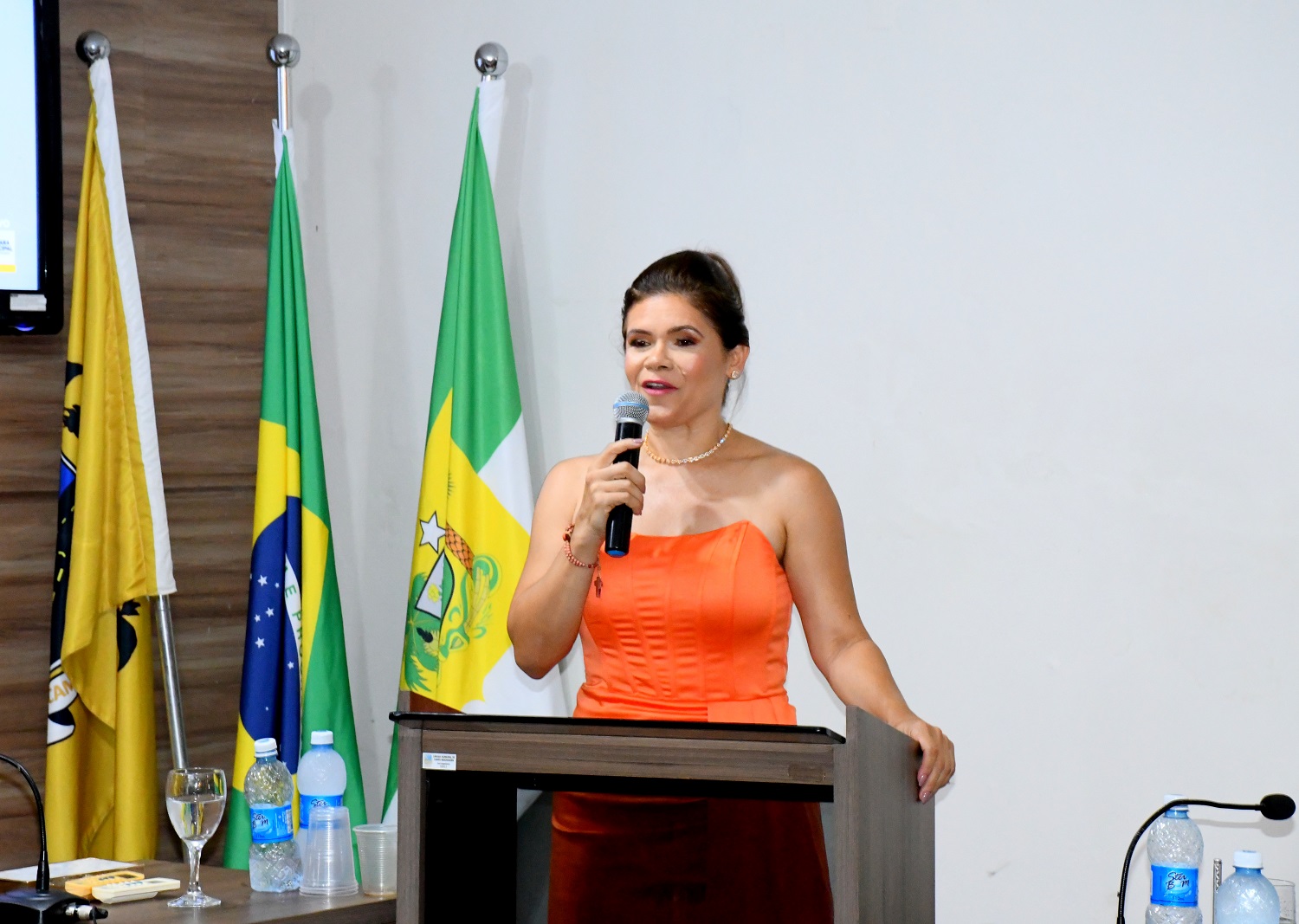 VICE-PREFEITA SILVÂNIA KARLA