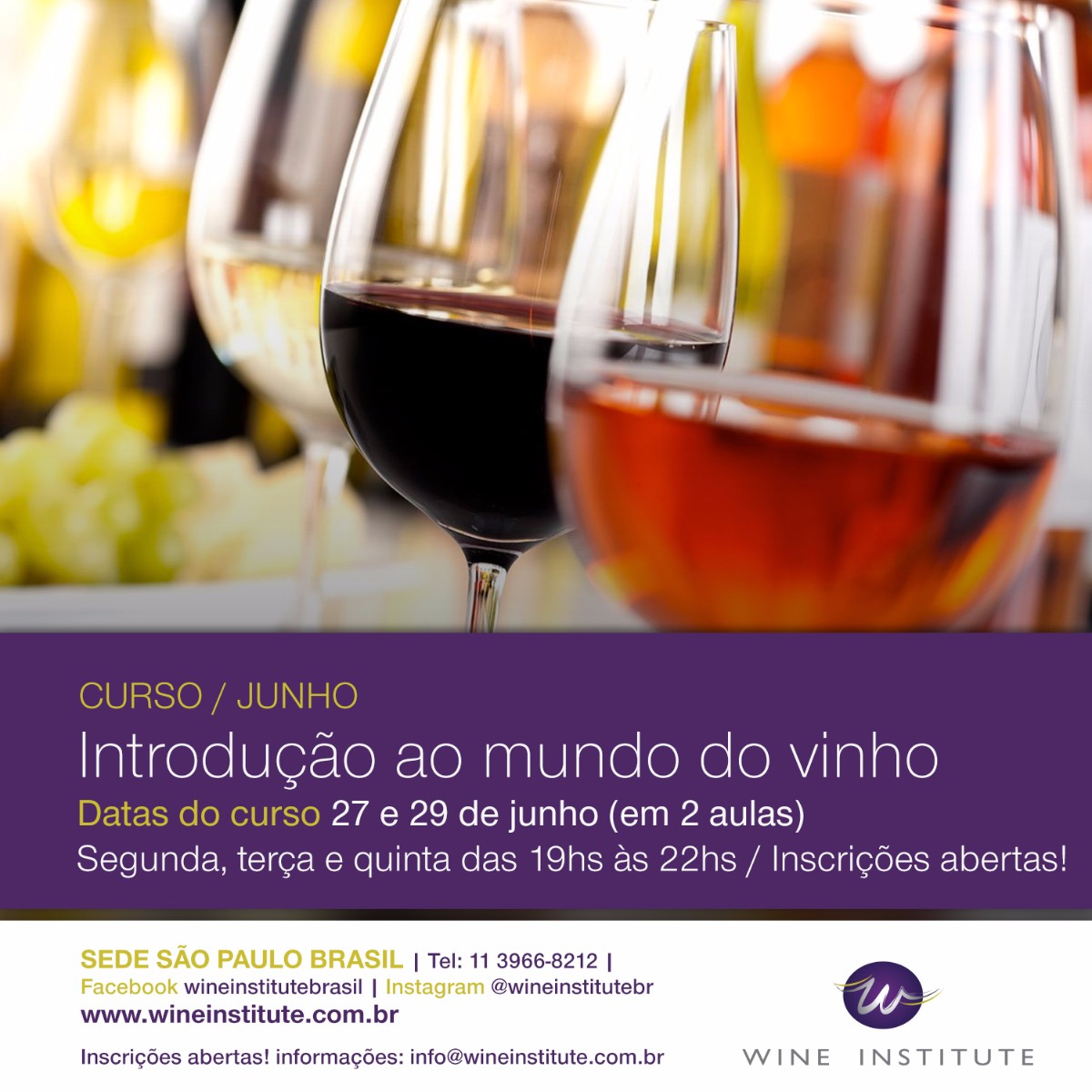 Curso Introdução ao Mundo do Vinho