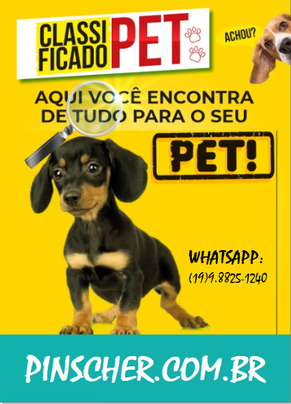 Chic Tosa Petshop  Ribeirão Pires SP