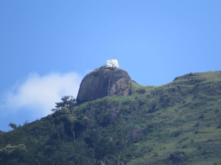 Bico do papagaio - Floresta da Tijuca