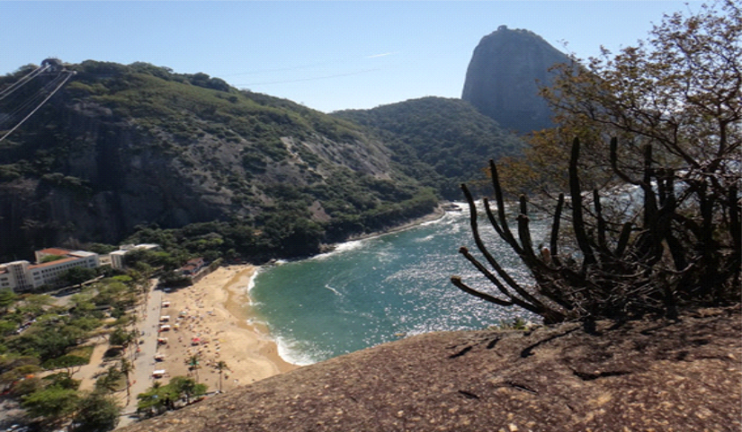 Trilha no Rio de Janeiro Morroda Babilônia