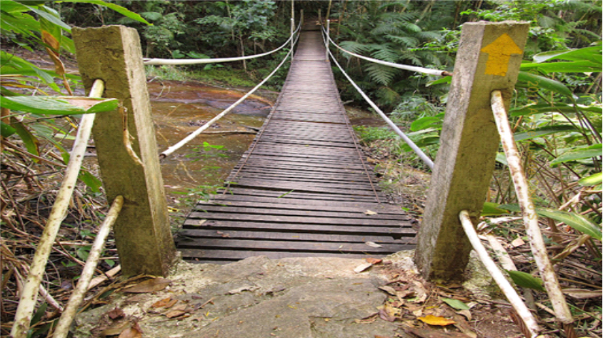 Trilha da Floresta da Tijuca - Morro da Cocanha