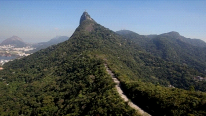 Bico do Papagaio - Floresta da Tijuca