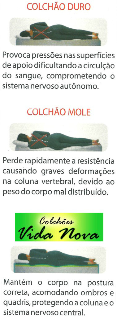 coluna