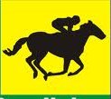 CAVALOS DE CORRIDA