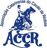 CAVALO DE RÉDEA