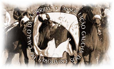 cavalos de corrida