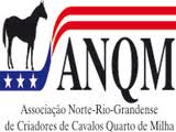 CAVALOS QUARTO DE MILHA