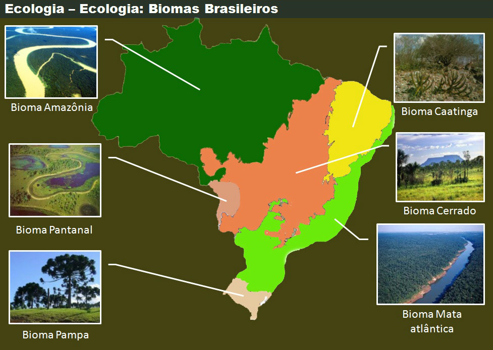 Biomas Brasileiros