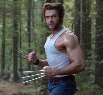 wolverine