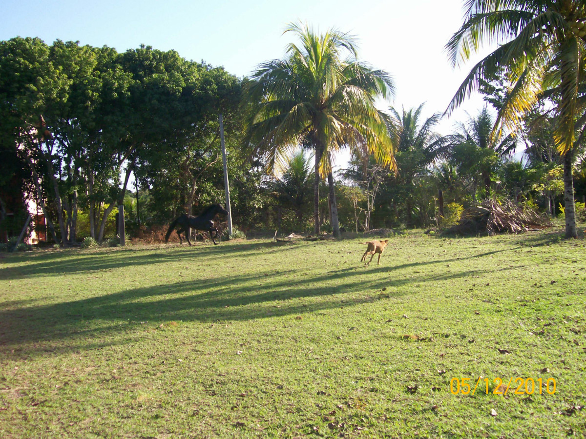 corrego das pedras