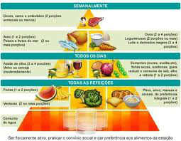 piramide alimentar