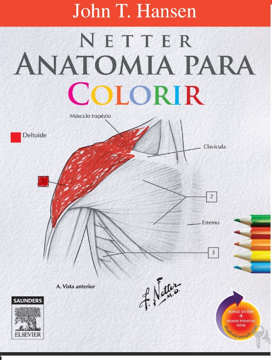 Anatomia para Colorir