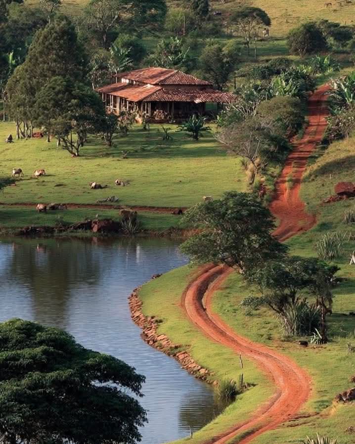 Natureza 