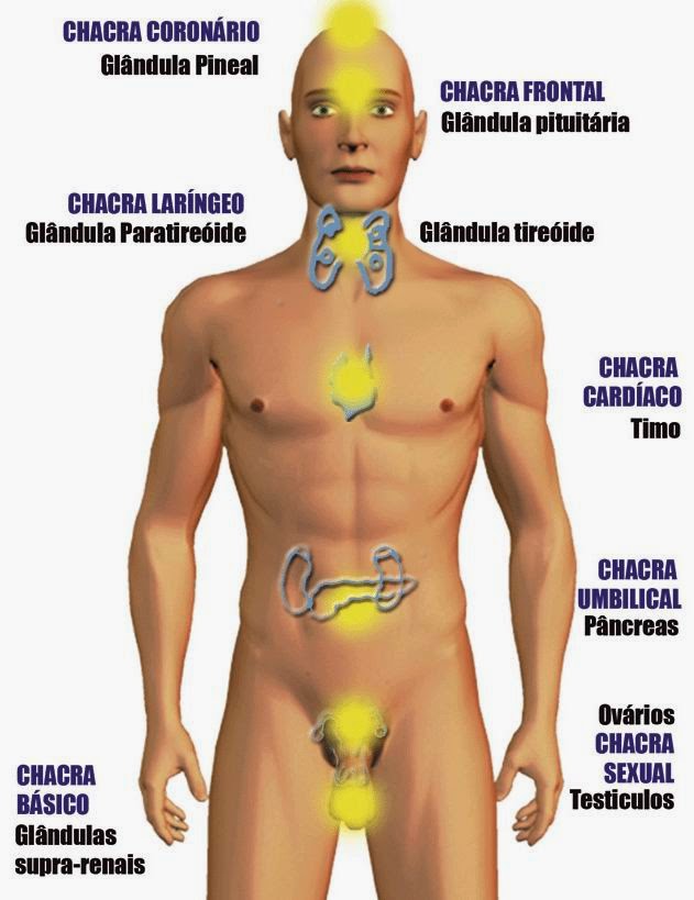 https://img.comunidades.net/cur/cursoseservicos/12esquemachacra1.jpg