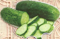 Pepino