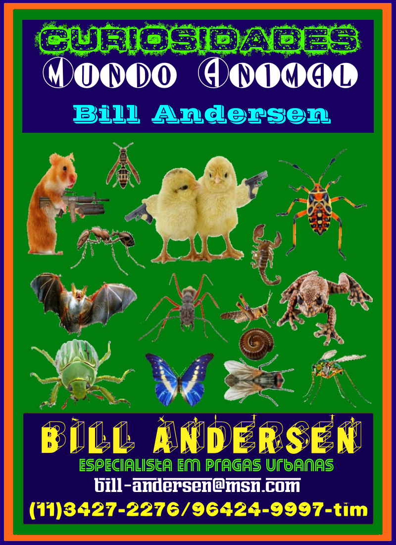 Curiosidades Mundo Animal by Bill Andersen