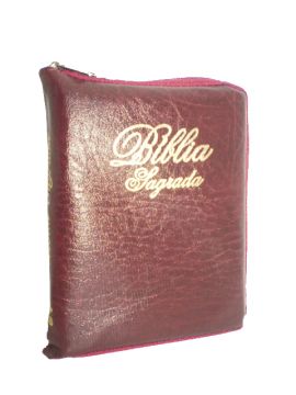 biblias