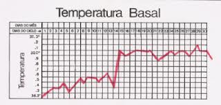 Temperatura Basal no Ciclo ovulatório