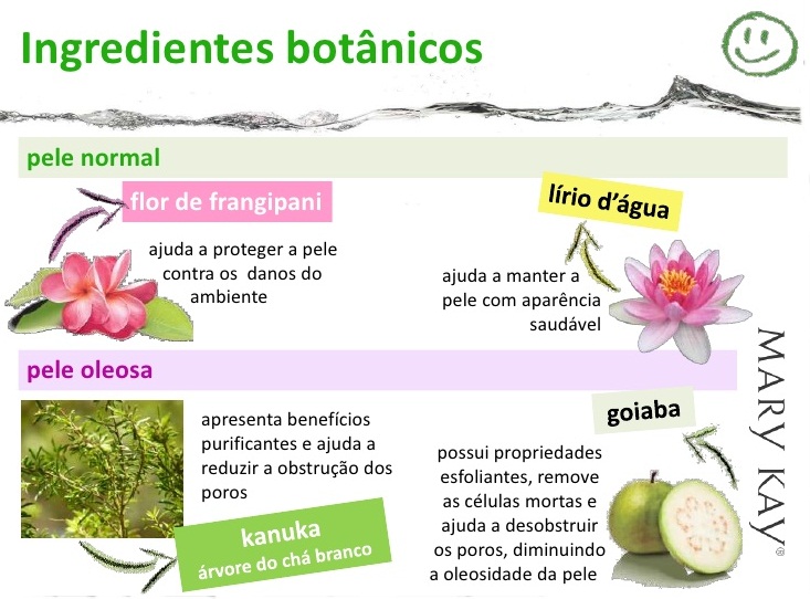 <img src="https://img.comunidades.net/ela/elainemk/mary_kay_botanica.jpg" border="0">