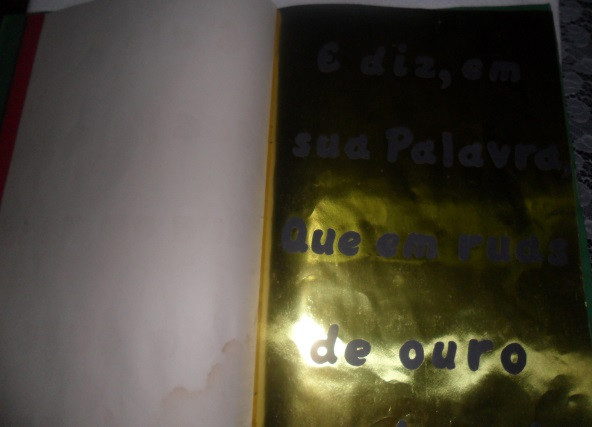 livro sem palavras