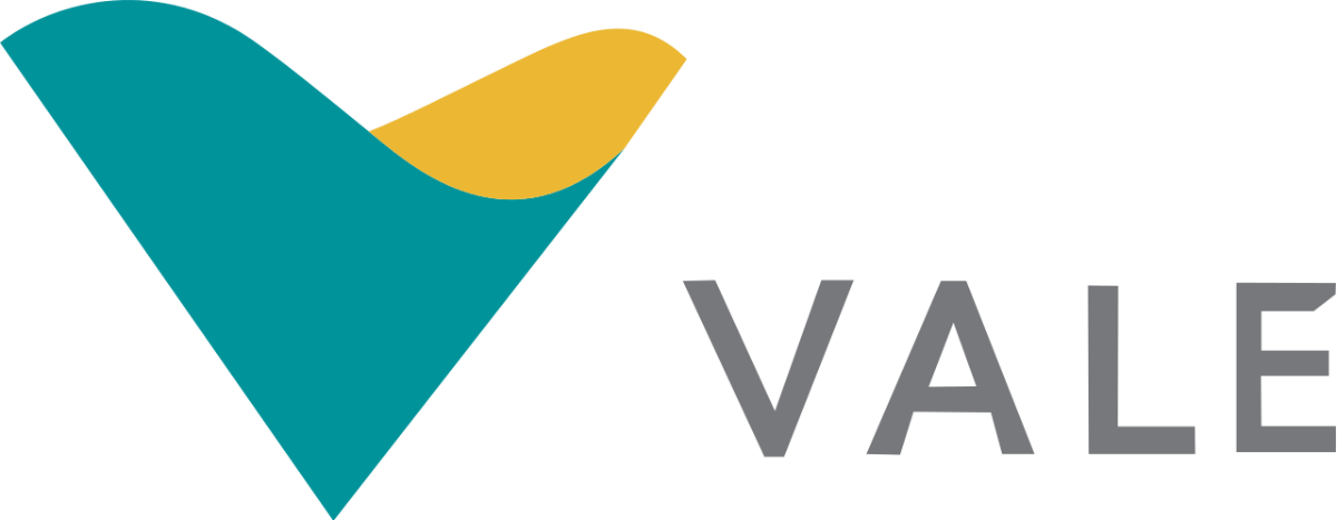 VALE SA