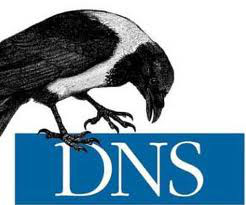 DNS linux