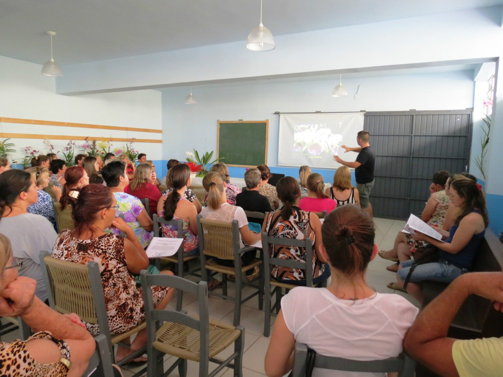 2º Curso de Orquideas