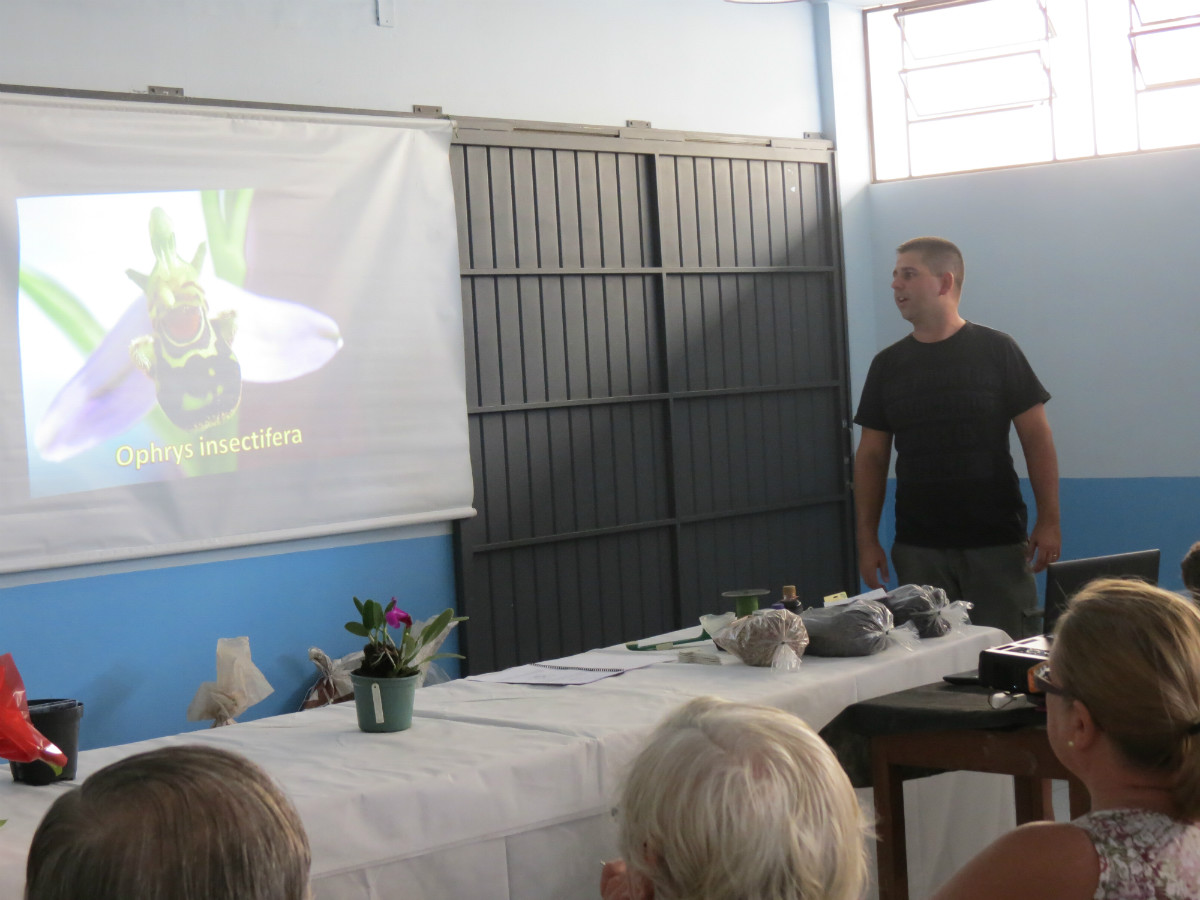 2º Curso de Orquideas