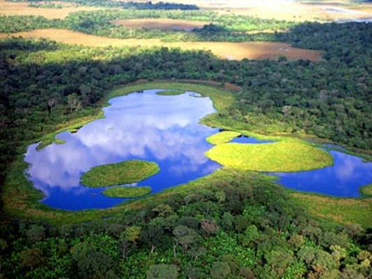 Pantanal