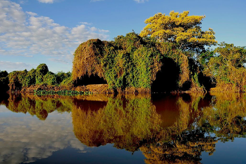 Parque nacional do Pantanal Matogrossense