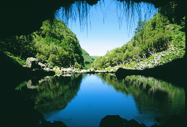 Holiday in Madeira